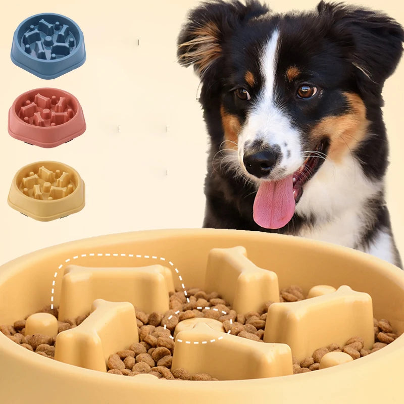Slow Feeder Dog Cat Bowl