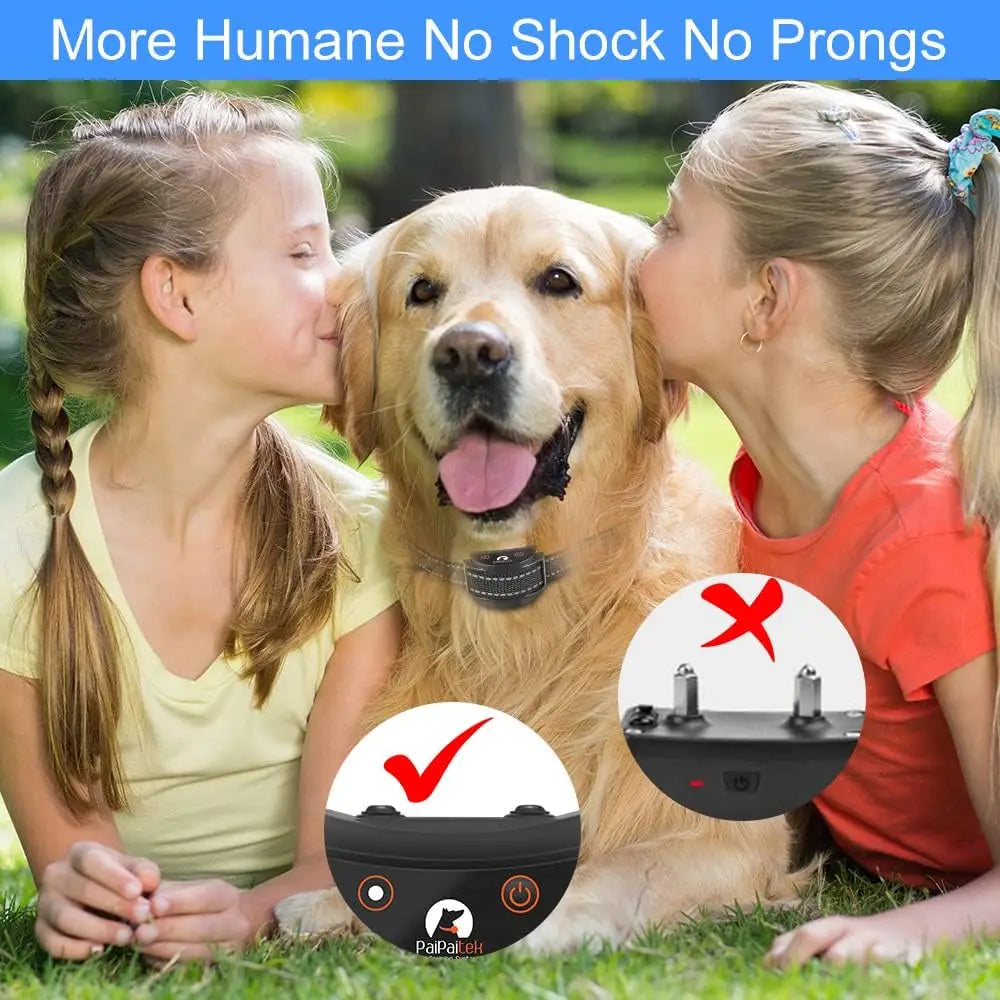 No Shock Dog Training Collar with Remote