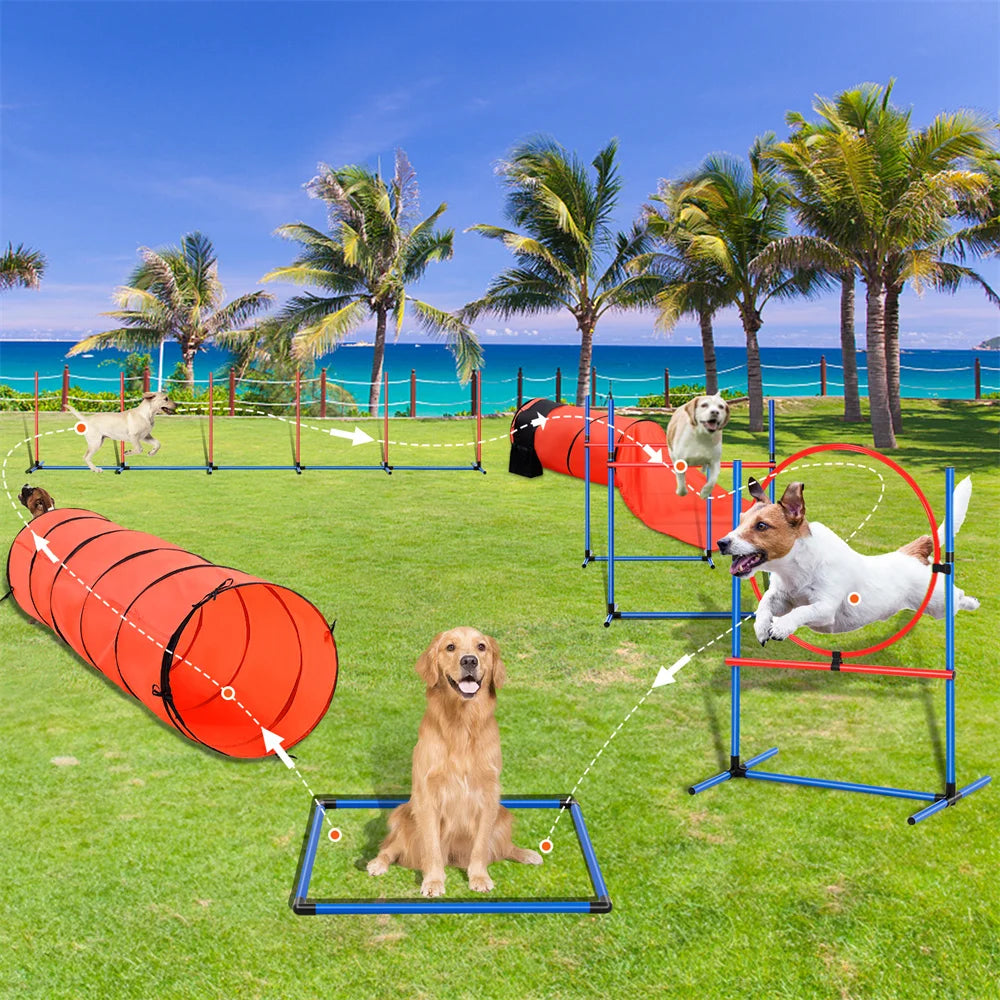 Dog Agility Training Equipment 7 PCS