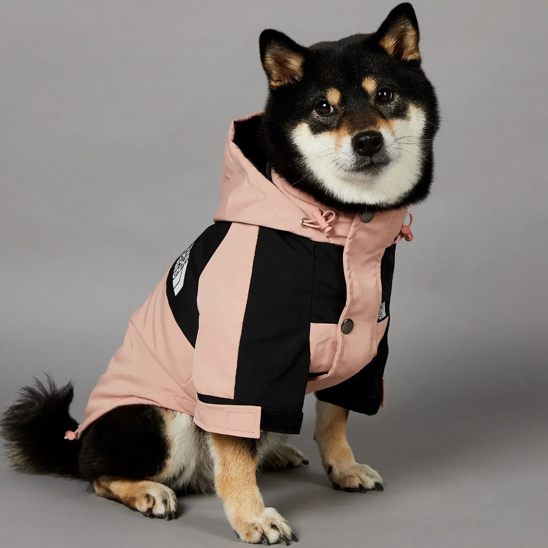 Small Dog Raincoat Clothes  Windbreake