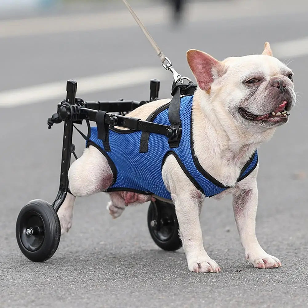 1Pcs Pet Wheelchair Cart Adjustable