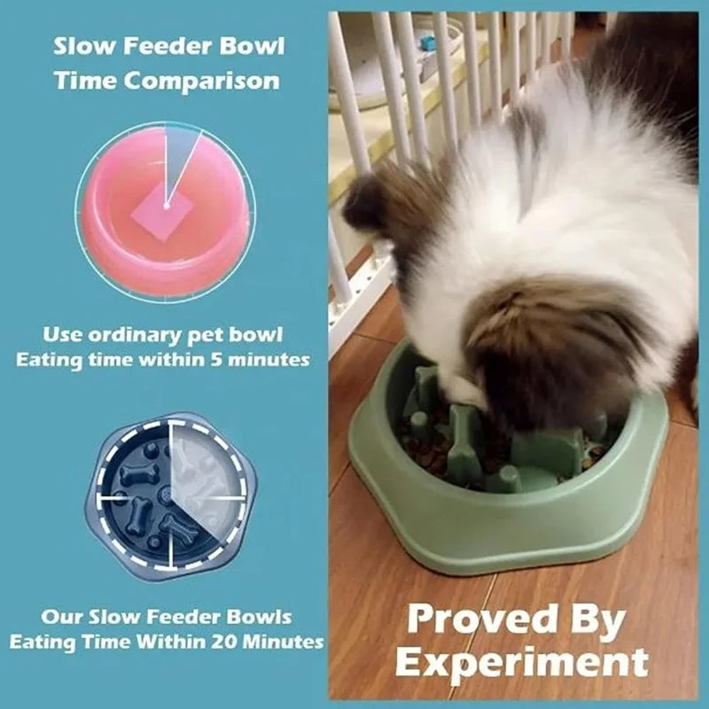Slow Feeder Dog Cat Bowl