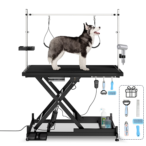 Professional Electric Pet Grooming Table
