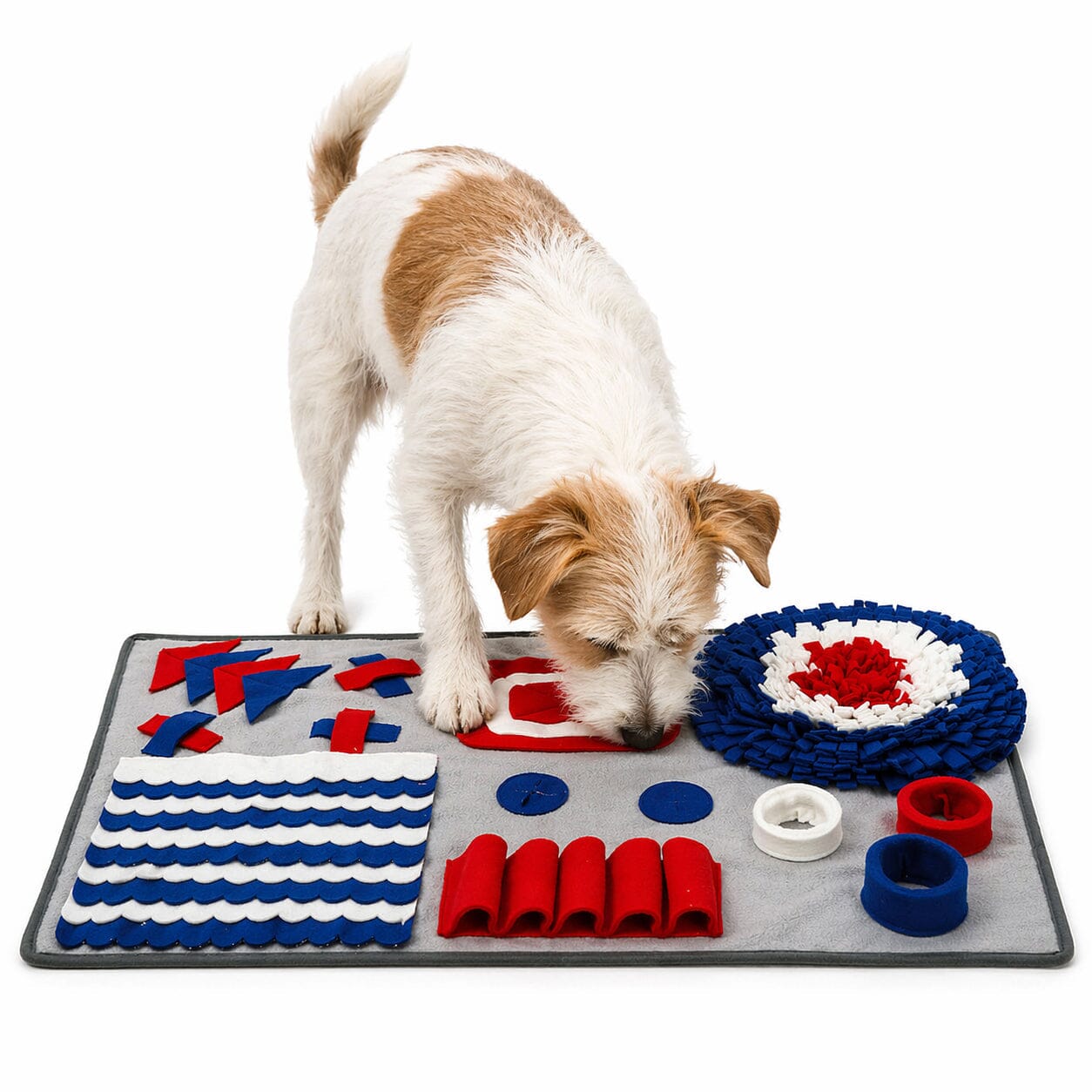 Pet Life ® 'Sniffer Snack' Interactive Feeding Pet Snuffle Mat
