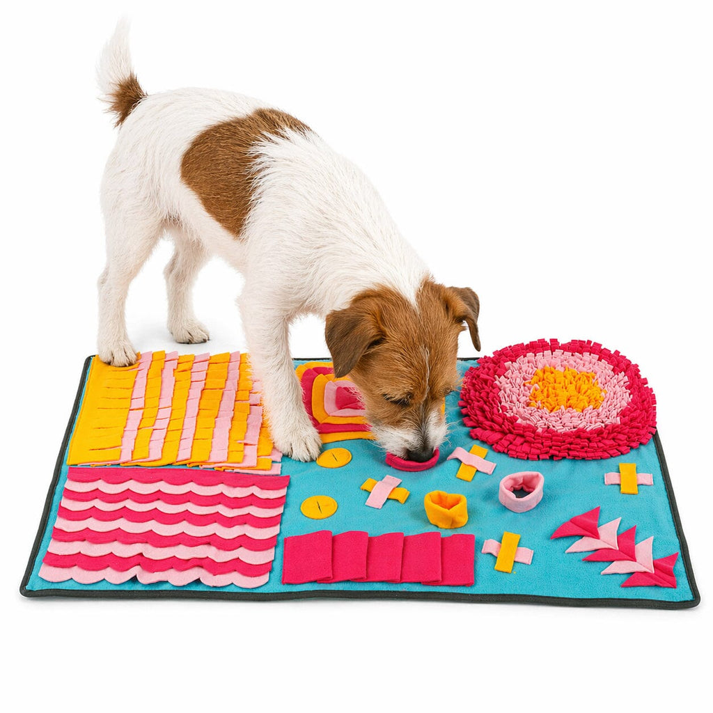 Pet Life ® 'Sniffer Snack' Interactive Feeding Pet Snuffle Mat