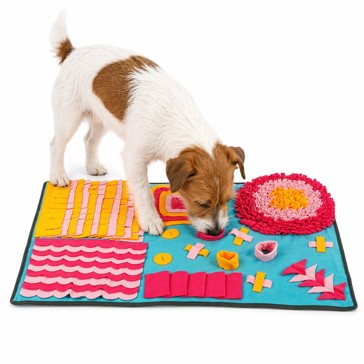 Pet Life ® 'Sniffer Snack' Interactive Feeding Pet Snuffle Mat